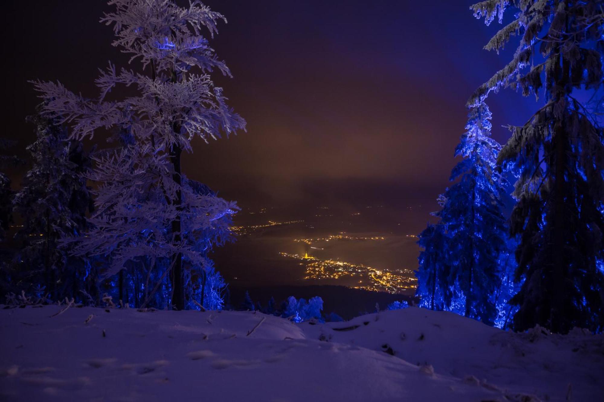 Schoenblick Hohenbogen Нойкирхен байм Хайлиген Блут Екстериор снимка